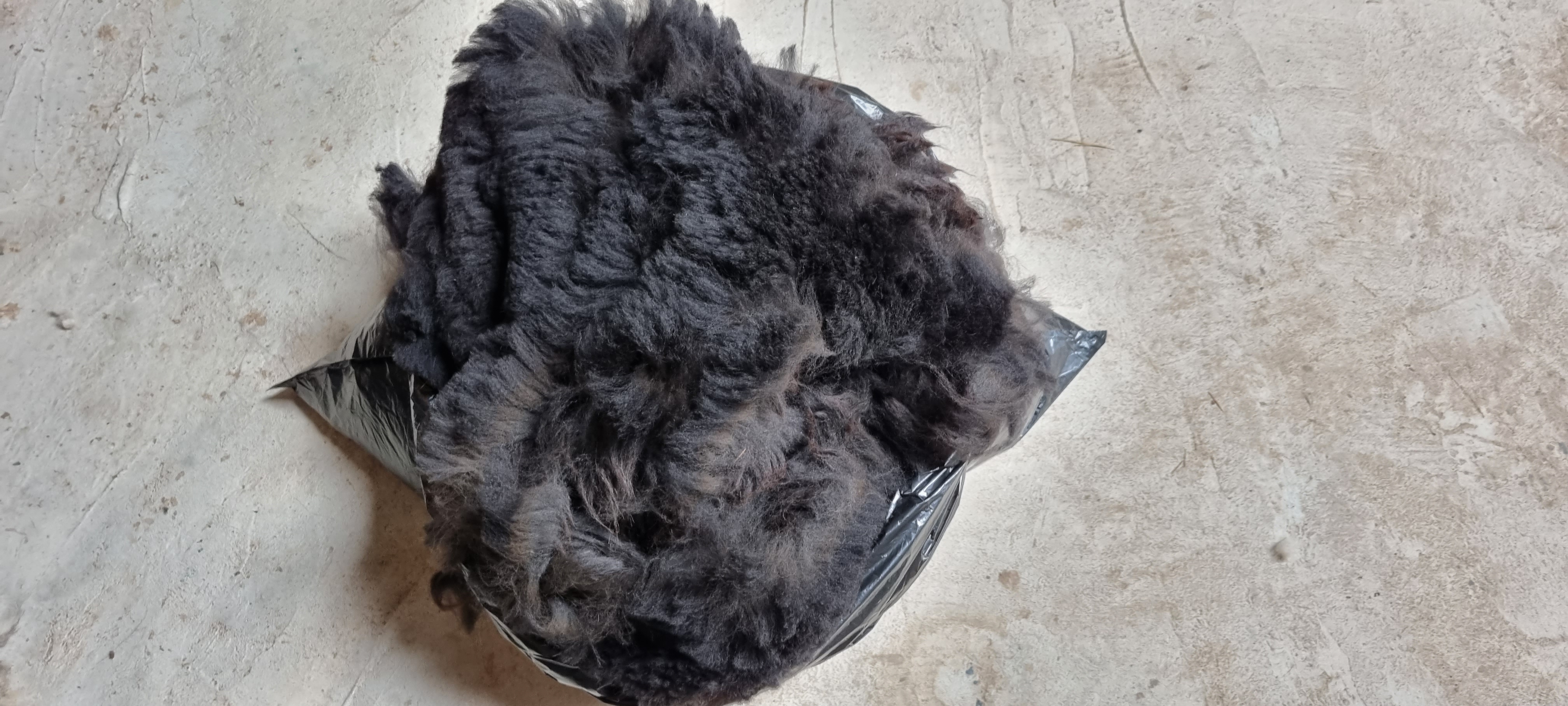 Photo of FOLLYFOOT FARM CASANOVA's fleece