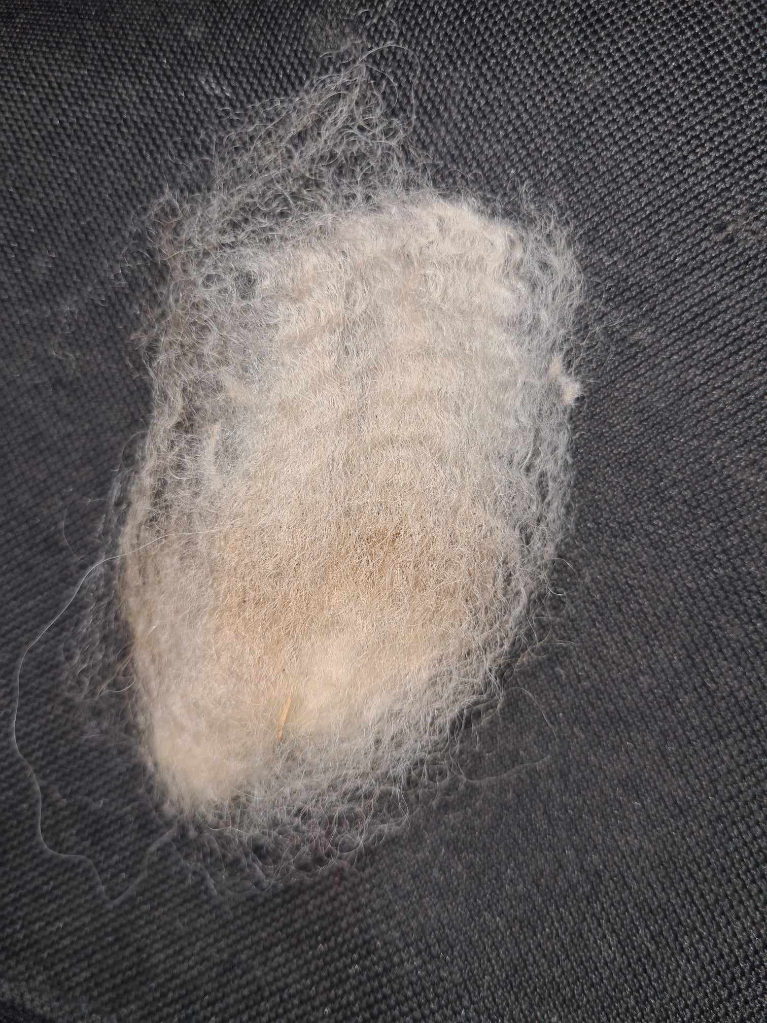 Photo of COOLAROO DELPHINI's fleece