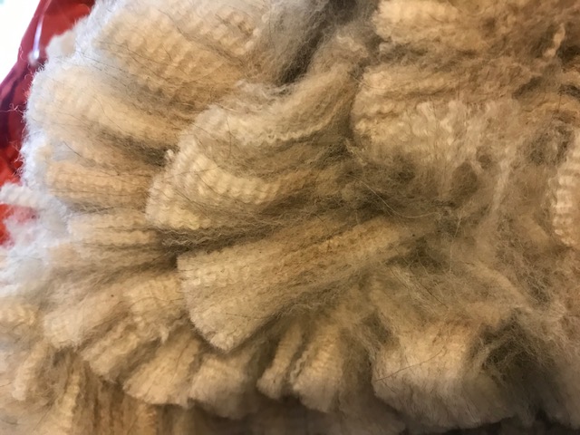 Photo of VISTA MYSTICO's fleece