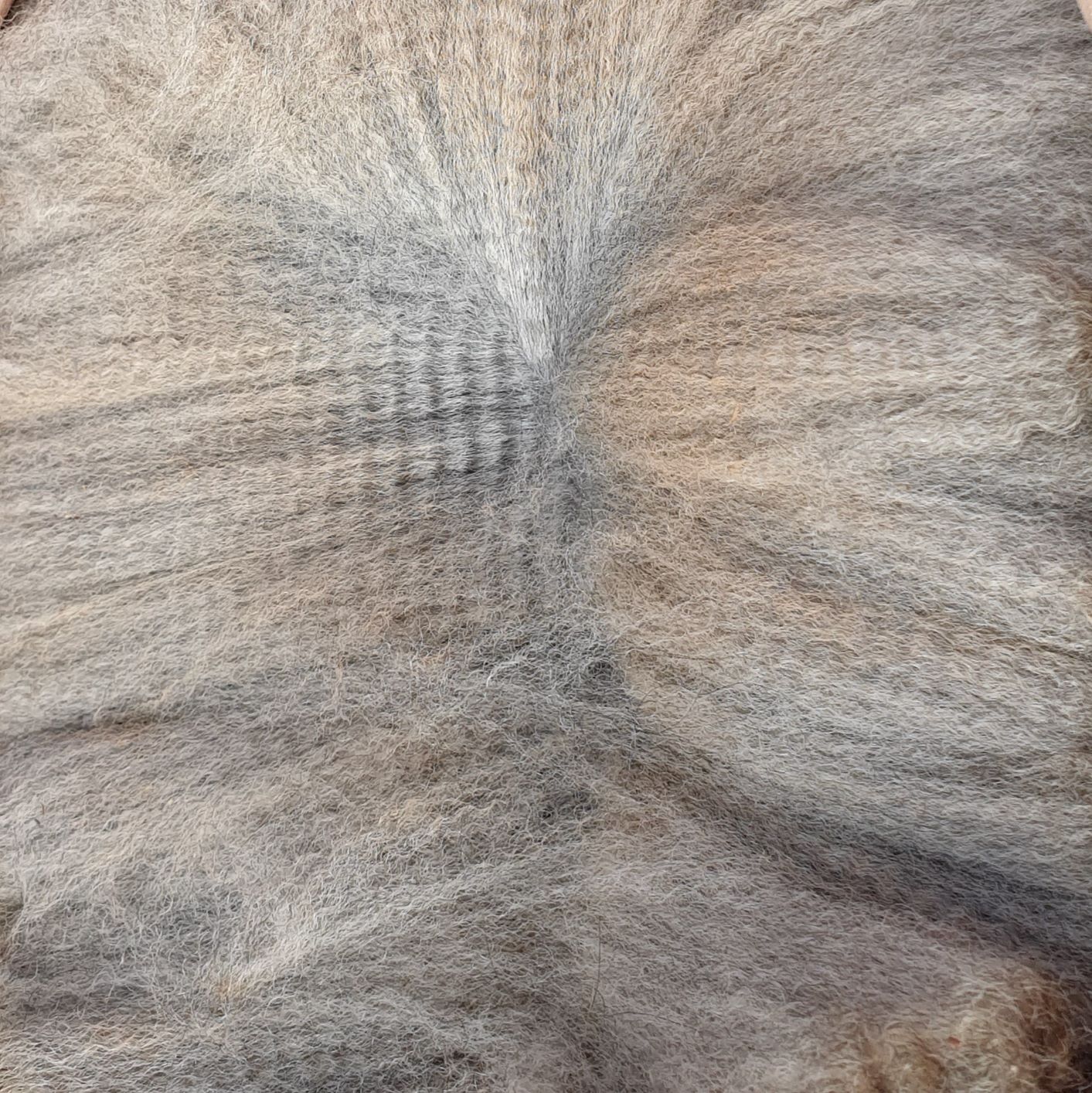 Photo of RAVENSWOOD PANDEMONIUM's fleece